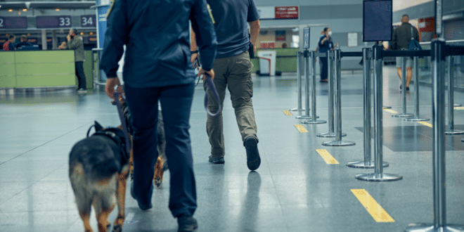 Les coulisses de la sécurité dans les aéroports internationaux